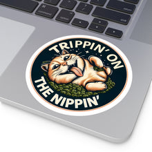 Load image into Gallery viewer, Crazy Cat Nip Sticker
