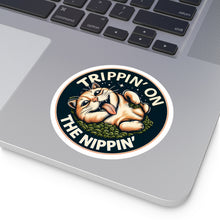Load image into Gallery viewer, Crazy Cat Nip Sticker
