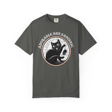 Load image into Gallery viewer, Adorable But Sadistic on Comfort Colors T-shirt
