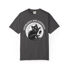 Load image into Gallery viewer, Adorable But Sadistic on Comfort Colors T-shirt
