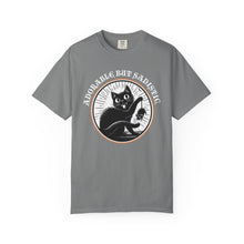 Load image into Gallery viewer, Adorable But Sadistic on Comfort Colors T-shirt
